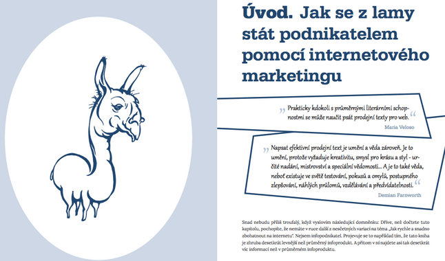 Recenze knihy: Pavel Šenkapoun – Webcopywriting pro samouky